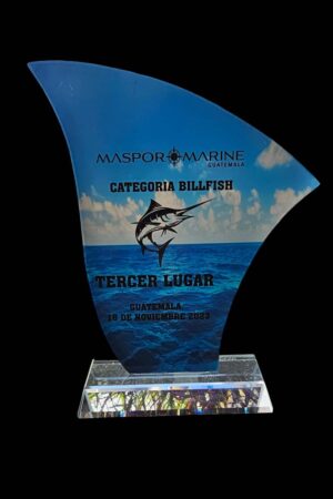 reconocimiento-vidrio