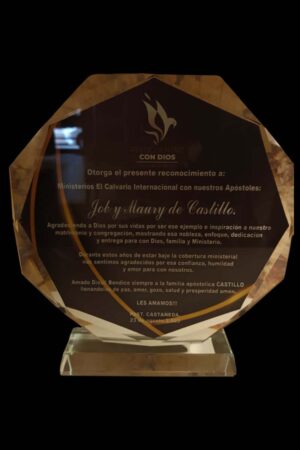 Reconocimiento vidrio